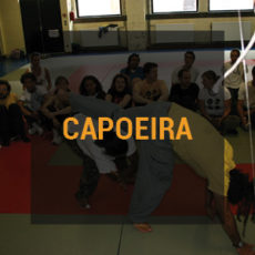 stage capoeira